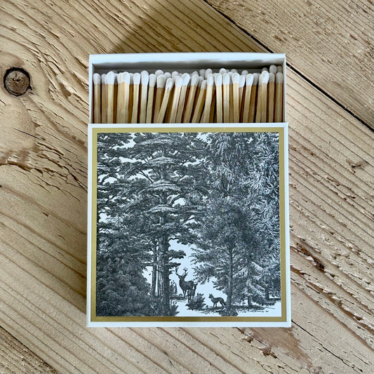 Enchanted Forest Archivist Safety Matches